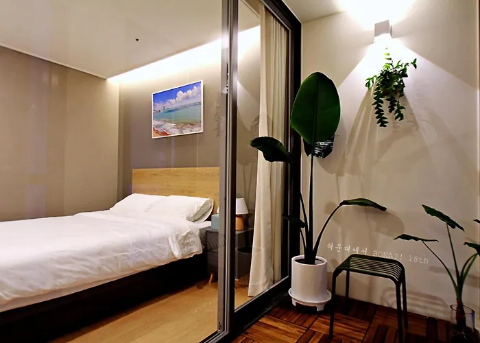 Elbon The X Bona Travel