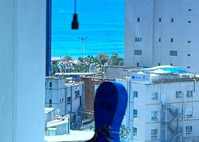 Elbon The X Bona Travel 4*